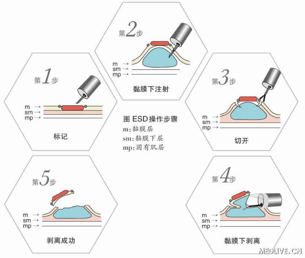 博亚体育官方app下载