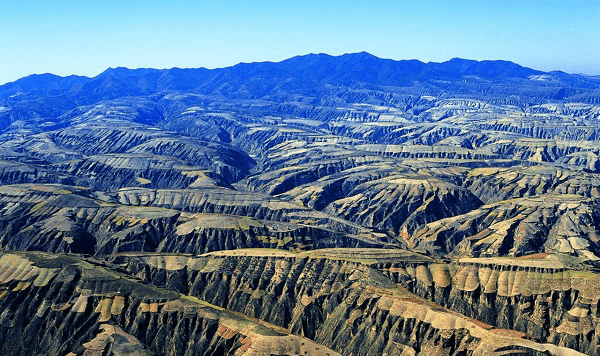 博亚体育官方app下载：
泓森槐 山西2014年荒山造林已经完成410多万亩(图4)